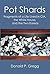 Pot Shards: Fragments of a Life Lived in CIA, the White House, and the Two Koreas