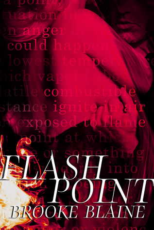 Flash Point (Paperback)
