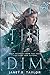 Into the Dim by Janet B.  Taylor