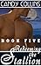 Redeeming the Stallion (Ste...