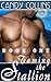 Taming the Stallion (Stetson Series, #1)