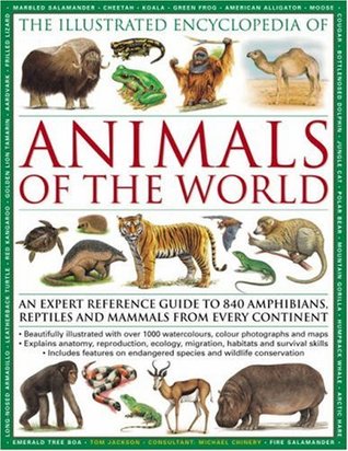The Illustrated Encyclopedia of Animals of the World: An expert reference guide to 840 amphibians, reptiles and mammals from every continent (Hardcover)