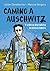 Camino a Auschwitz by Julián Gorodischer