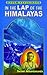 In the Lap of the Himalayas