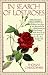 In Search of Lost Roses
