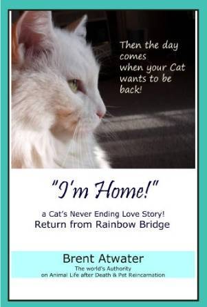"I'm Home!" a Cat's Never Ending Love Story- Cat Reincarnation Stories, Animal life after death, Animals Spirits, Pet life after death, Animal communication