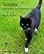 Sammy eine Katze auf Verbrecherjagd by Moritz Jeschke