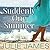 Suddenly One Summer (FBI/US Attorney, #6)