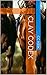 Clay Codex (Shakespeare Sisters)
