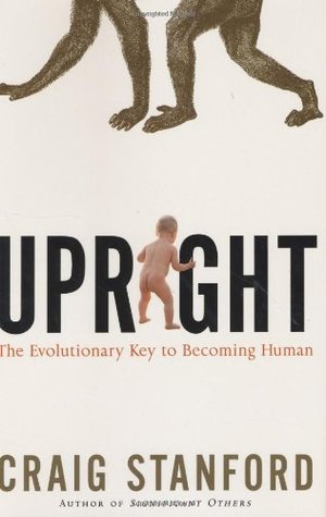 Upright: The Evolutionary Key to Becoming Human (Hardcover)