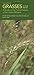 Grasses in Your Pocket: A G...