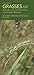 Grasses in Your Pocket: A Guide to the Prairie Grasses of the Upper Midwest (Bur Oak Guide)
