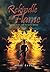 Rekindle the Flame: Book 2 ...