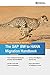 The SAP BW to HANA Migratio...