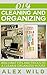 CLEANING AND ORGANIZING: Brilliant Tips And Tricks To A Clean And Organized House (CLEANING, HOUSE CLEANING, GREEN HOUSECLEANING)