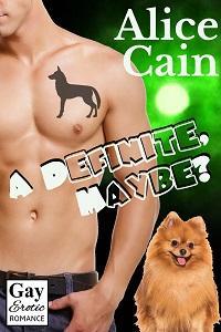 A Definite, Maybe? (Seriously? #2)