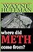 Where Did Meth Come From? by Wayne Huffman