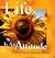 Life Is an Attitude by Dottie Billington