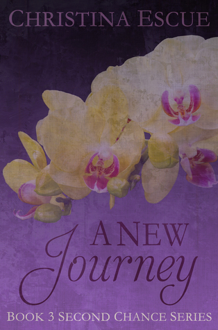 A New Journey (The Second Chance #3)