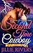 Second Time Cowboy (Lost Mi...