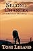 Second Chances: A romantic short story