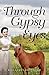 Through Gypsy Eyes by Killarney Sheffield