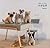 Japanese craft book "NEEDLE FELT SMALL DOGS"#8953