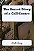 The Secret Diary of a Call Centre
