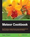 Meteor Cookbook