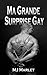 Histoires De Sexe d'esclave Gay: Ma Grande Surprise Gay (French Edition)