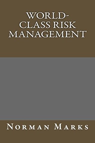 World-Class Risk Management (Kindle Edition)