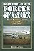 Popular Armed Forces for the Liberation of Angola: First National Army and the War (1975-1992)