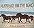 Mustangs on the Beach: The ...