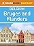 Bruges and Flanders (Rough Guides Snapshot Belgium)