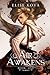 Air Awakens (Air Awakens, #1)