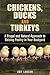 Chickens, Ducks and Turkeys by Amy Larson