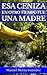 Esa ceniza en otro tiempo fue una madre (Spanish Edition)