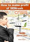SEMrush: How to make profit of SEMrush?