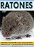 Ratones: Divertido y educativo libro sobre ratones para niños de 4 a 8 años... ¡Con un montón de fotos hermosas! (Spanish Edition)