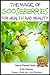 The Magic of Gooseberries For Health and Beauty (Health Learning Series Book 34)