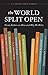 The World Split Open: Great Authors on How and Why We Write (A Literary Arts Reader)
