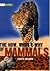 The how, what & why of mammals (Literacy World Satellites Non-Fiction)