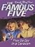 Five Go Off In A Caravan by Enid Blyton