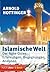 Islamische Welt: Der Nahe Osten: Erfahrungen, Begegnungen, Analysen (German Edition)