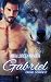Gabriel: Beast Lovers 2
