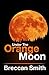 Under The Orange Moon