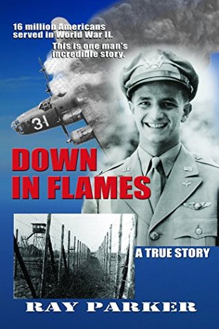 Down In Flames (Kindle Edition)