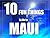 TEN FUN THINGS TO DO IN MAUI