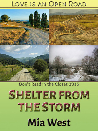Shelter from the Storm (ebook)
