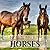 Learn about Horses: Horses ...